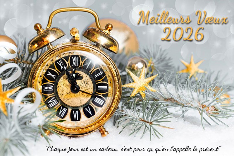 Meilleurs Vœux